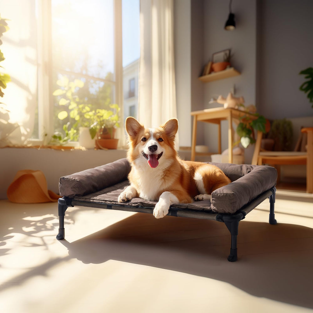 Veehoo easy-to-clean bolster bed folds into portable setup for indoor-outdoor adventures.