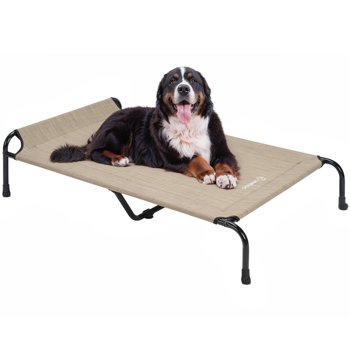 Veehoo XXXL outdoor-elevated-bed full view for large-breed comfort