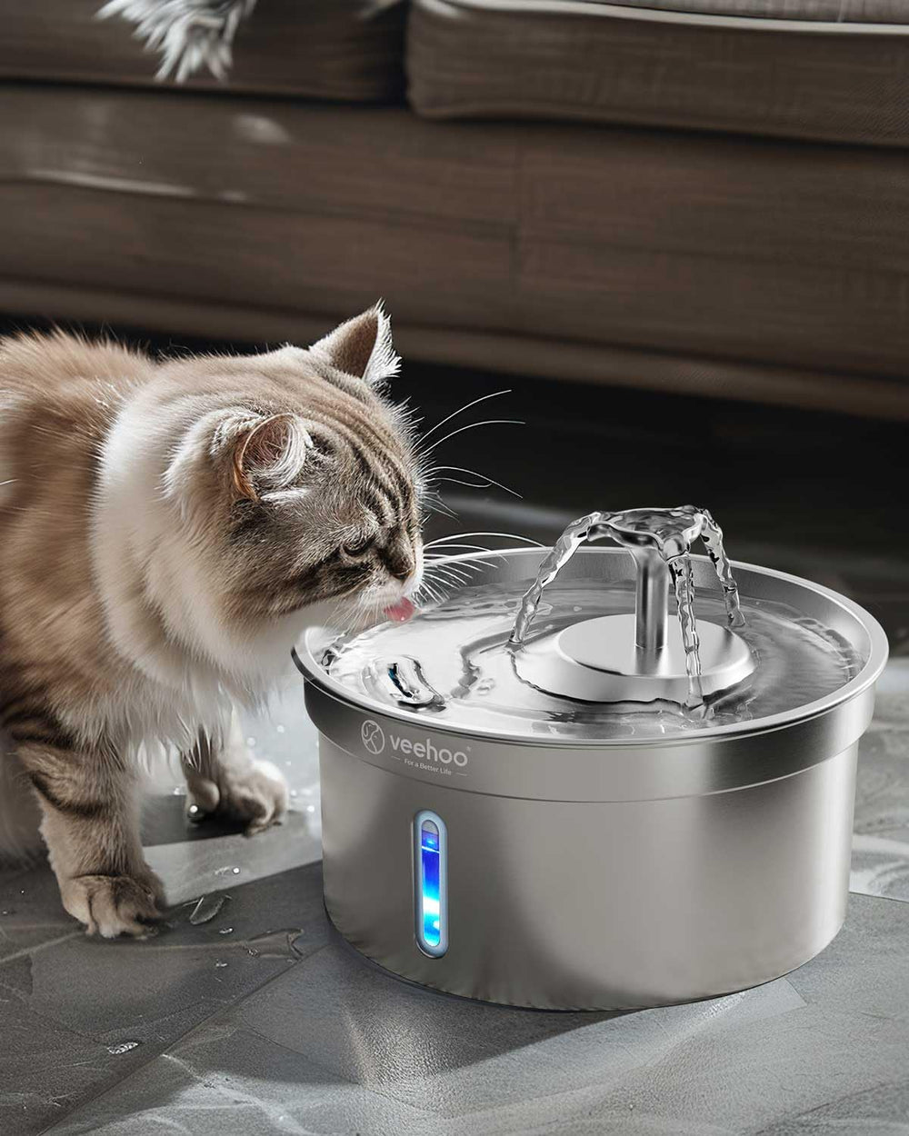 Veehoo 304 stainless steel cat fountain showcases durable construction and hydration reliability.