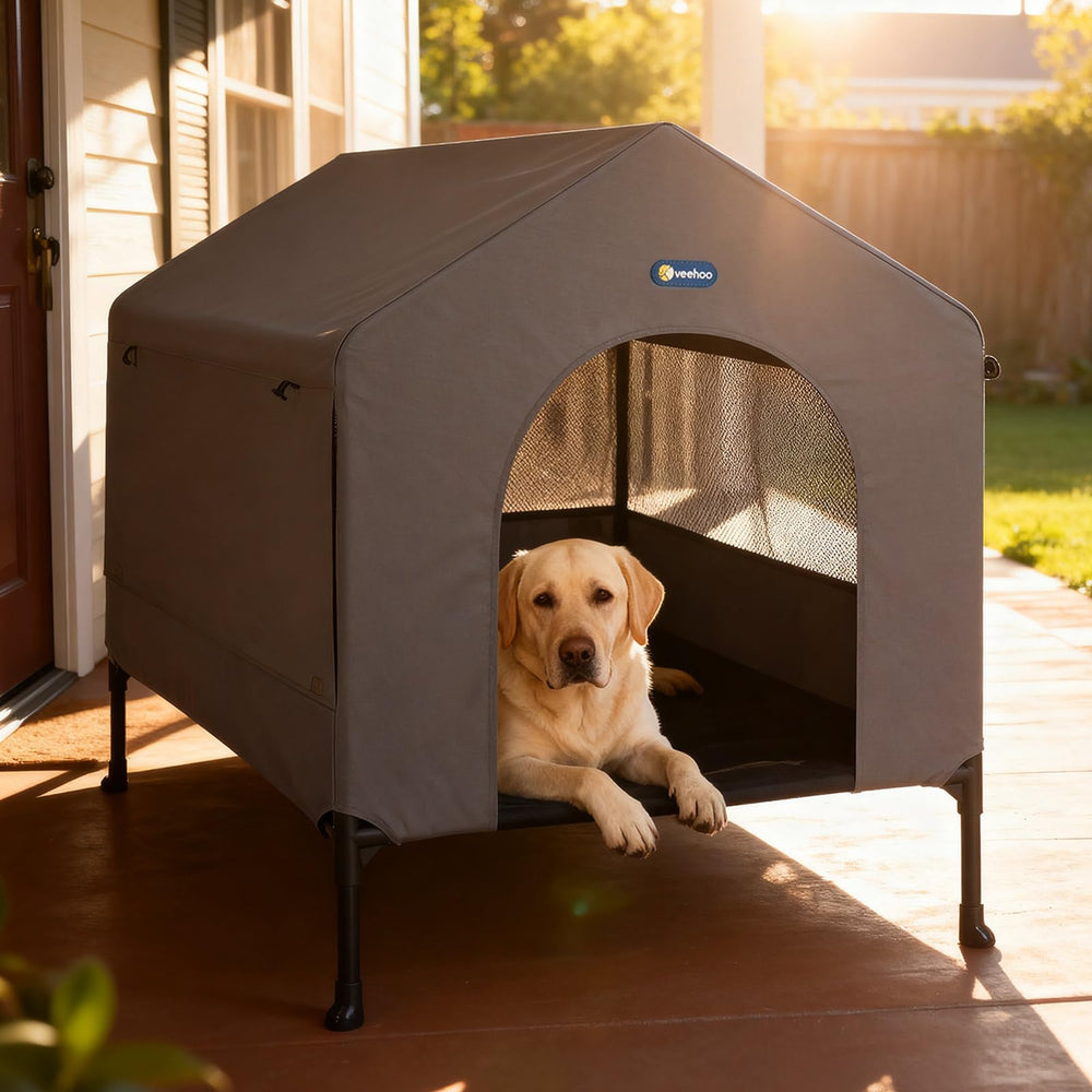 Veehoo 41inch dog house elevated bed shows raised resting for dry comfort.