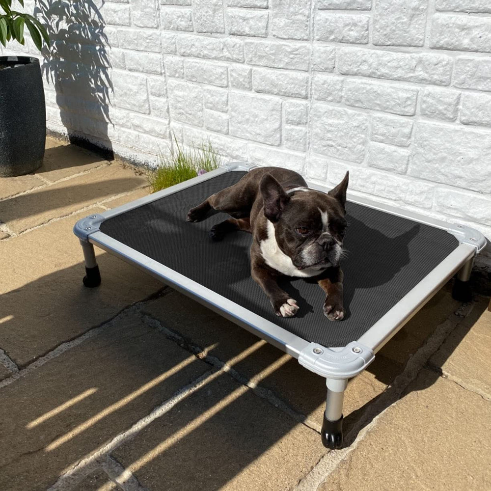 Veehoo chew-proof elevated dog bed with Textilene mesh for breathable comfort outdoors.