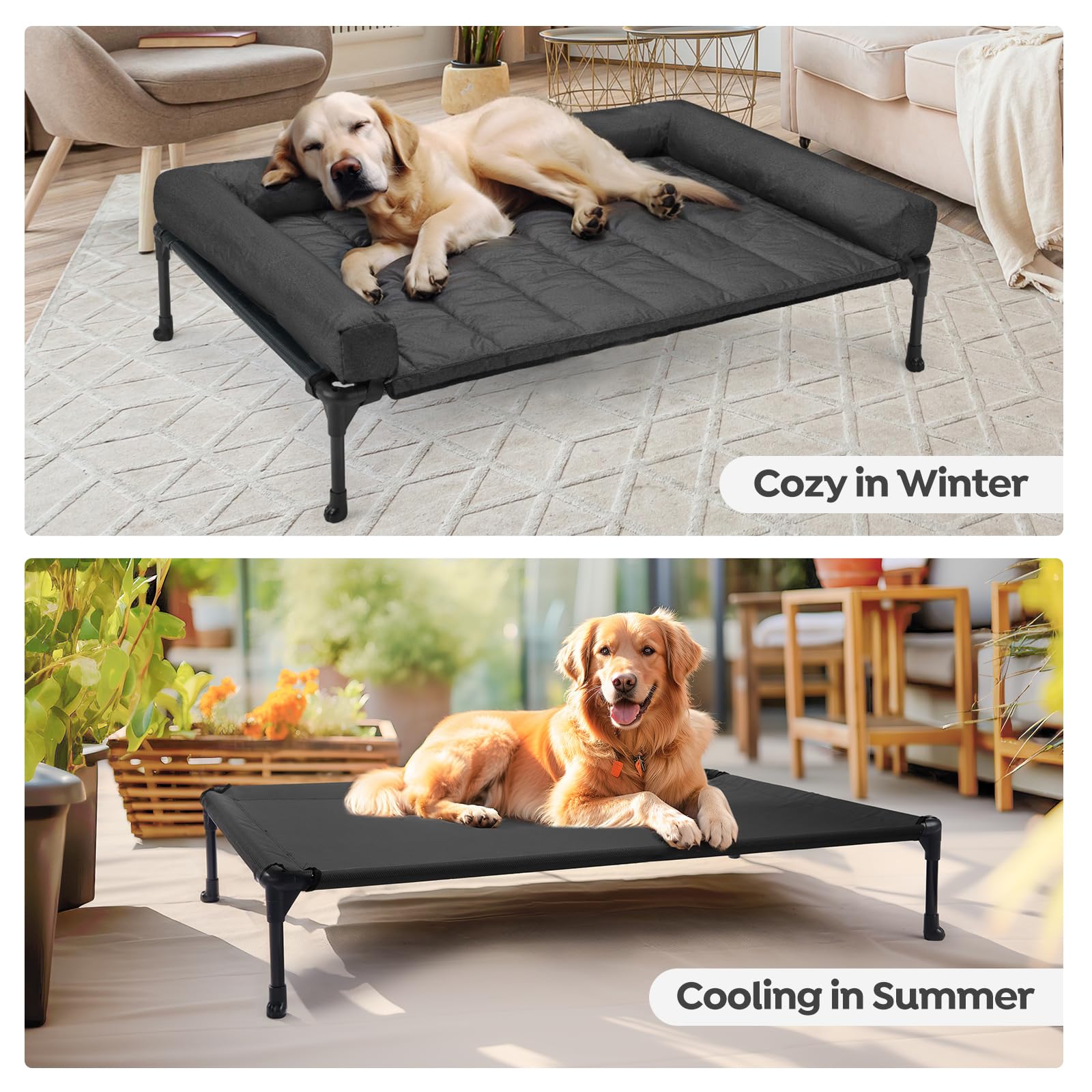 Veehoo cooling elevated dog bed in indoor-outdoor use scenario for dogs