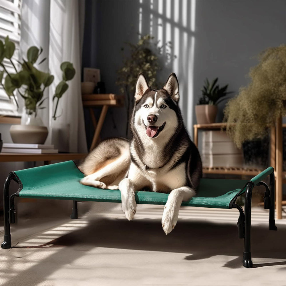 Veehoo dog bed in both indoor and outdoor environments for versatility.