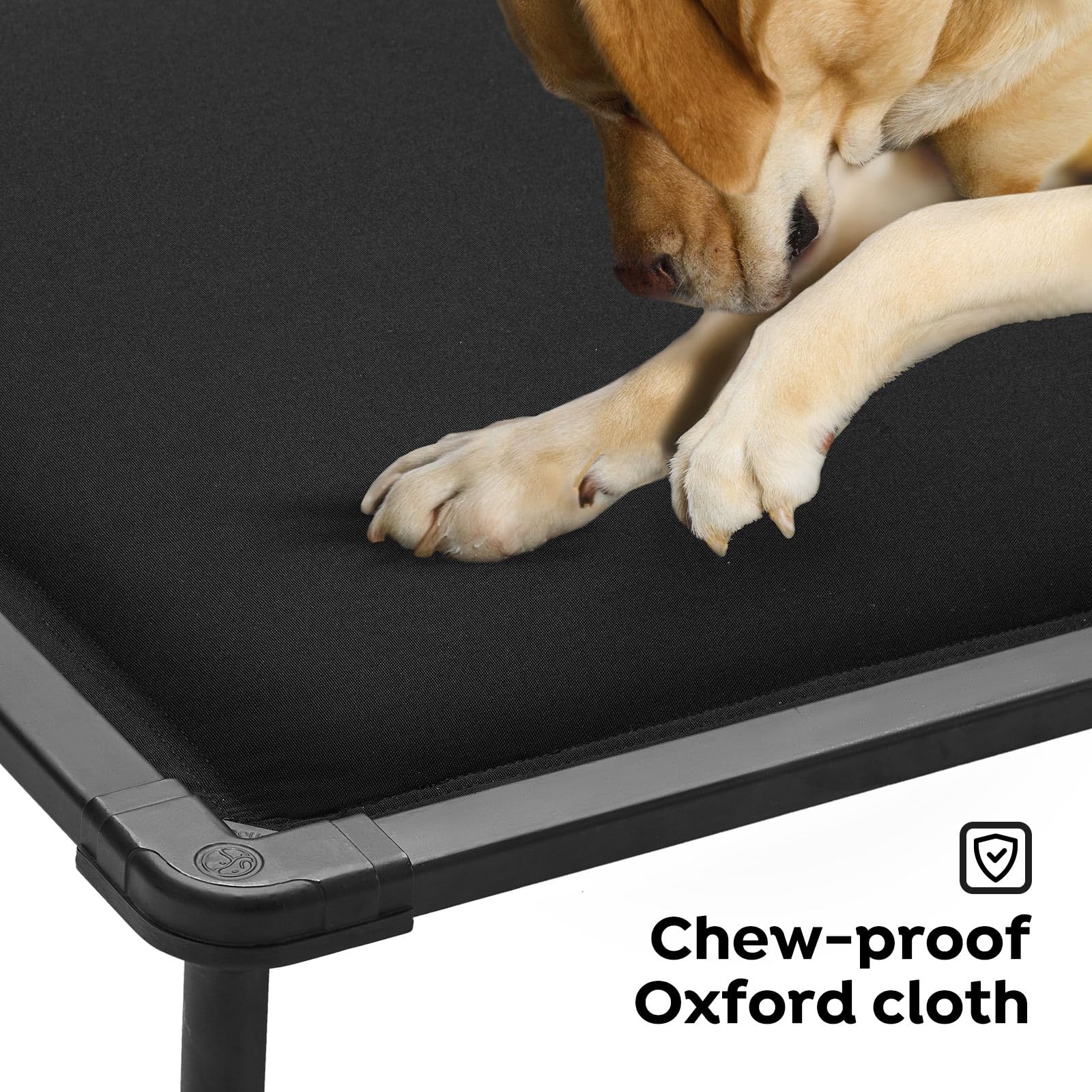 Veehoo durable metal-frame edges resist chews during play