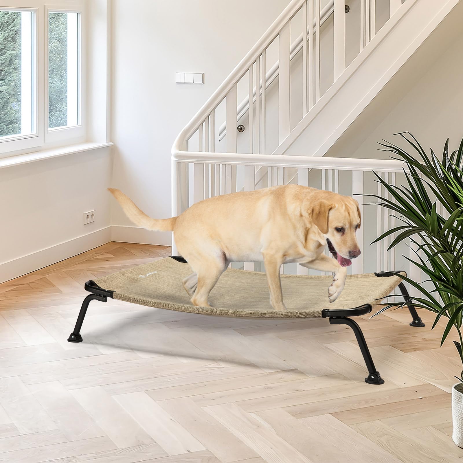 Veehoo outdoor bed being rinsed for easy cleaning after outdoor use