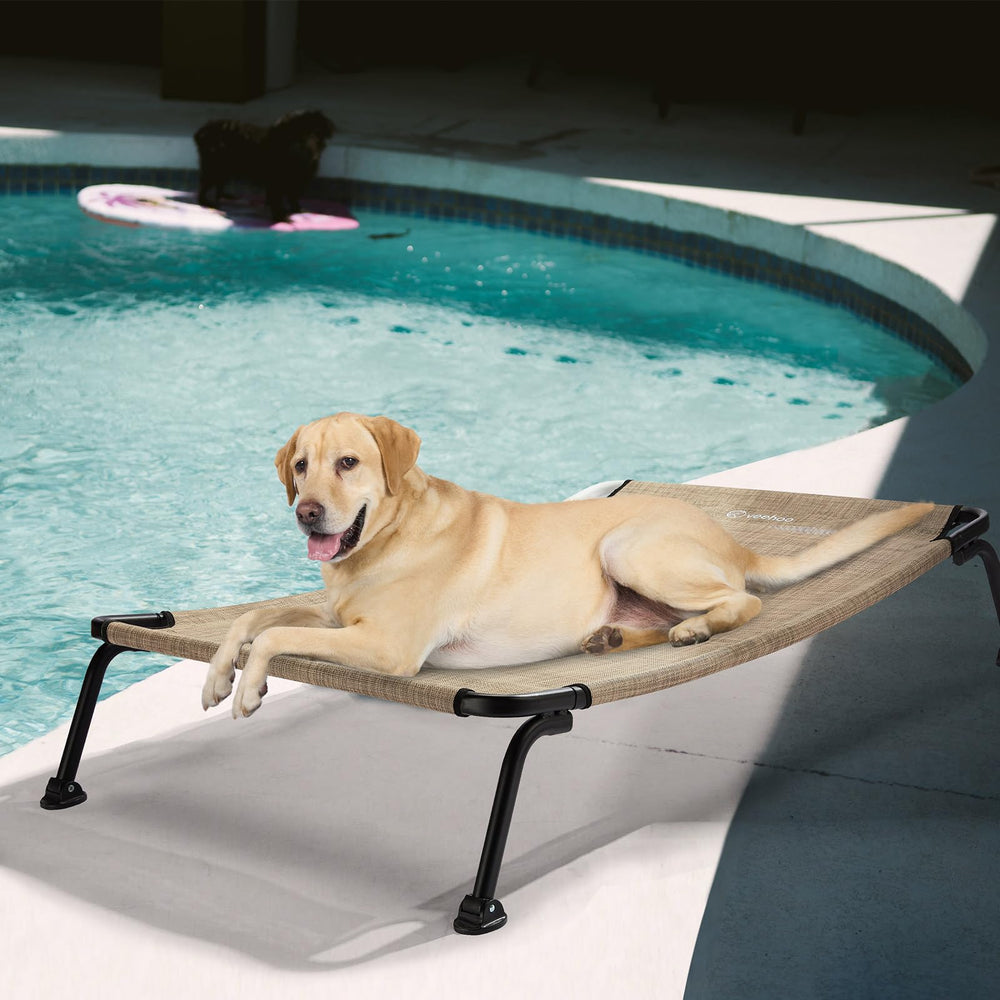 Veehoo elevated dog cot ideal for cooling and outdoor lounging