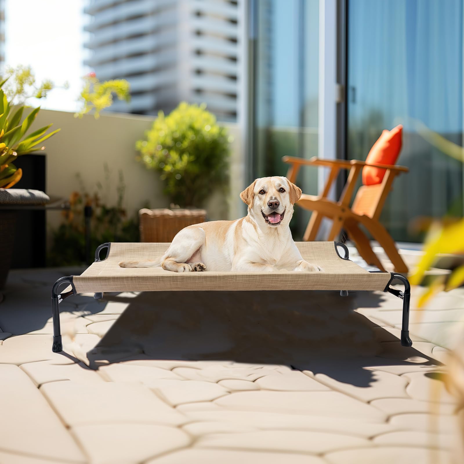 Veehoo washable bed allows quick cleanups after outdoor adventures.