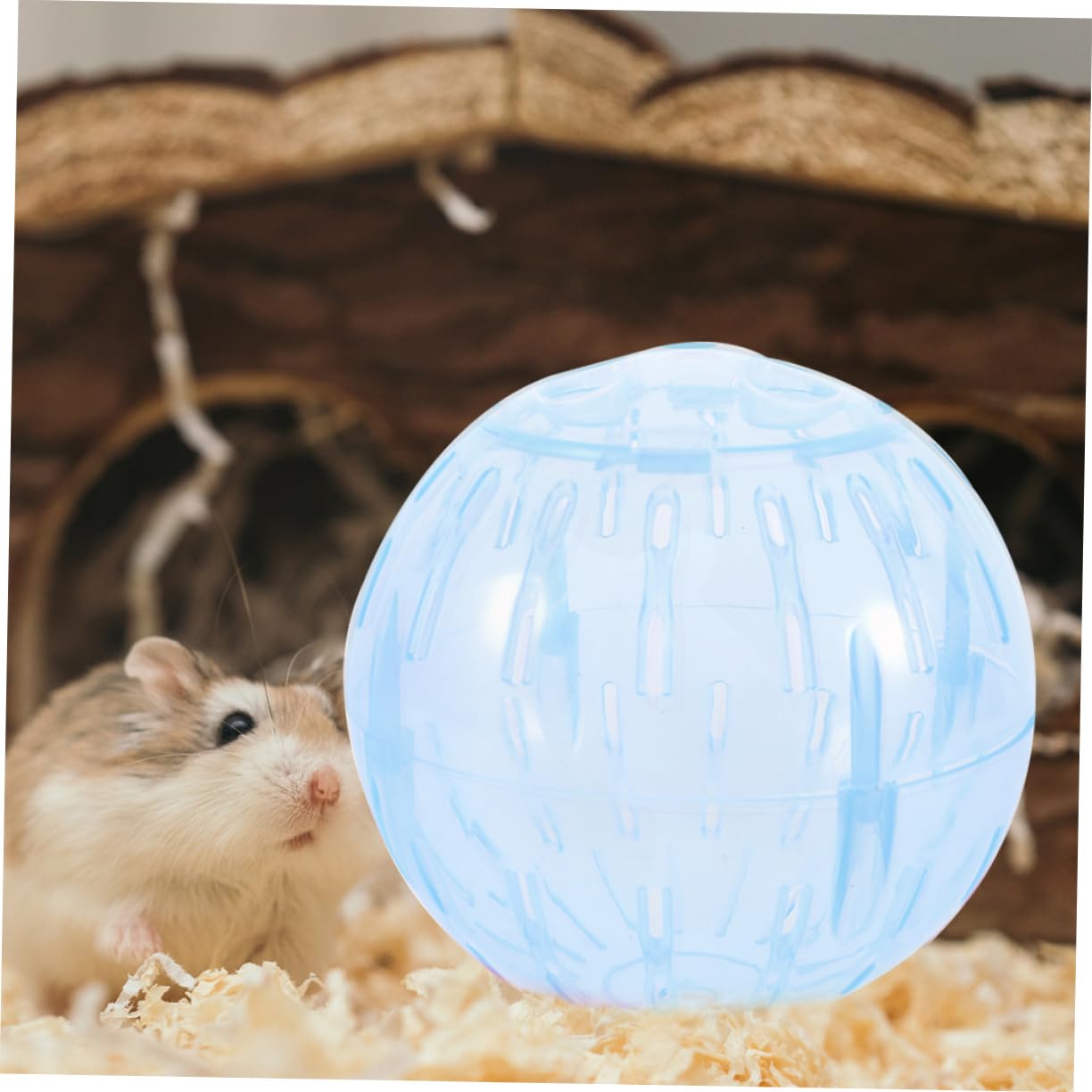 Veemoon hamster ball in-use in a small cage for activity