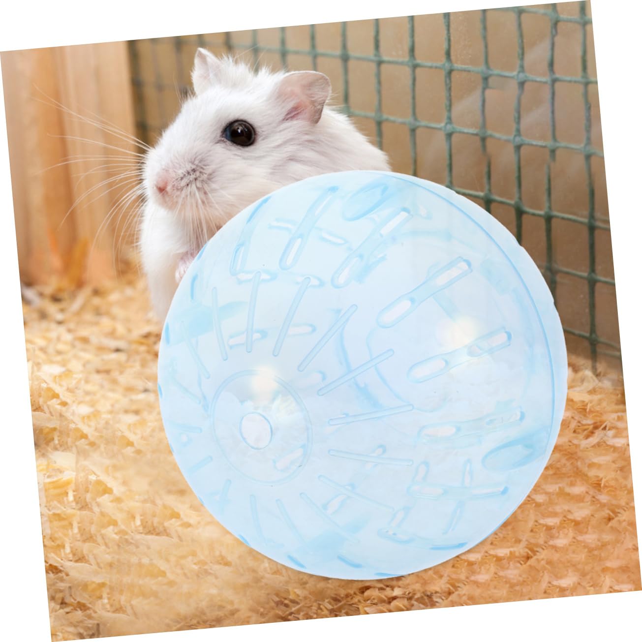 Veemoon hamster ball travel-friendly design for road play