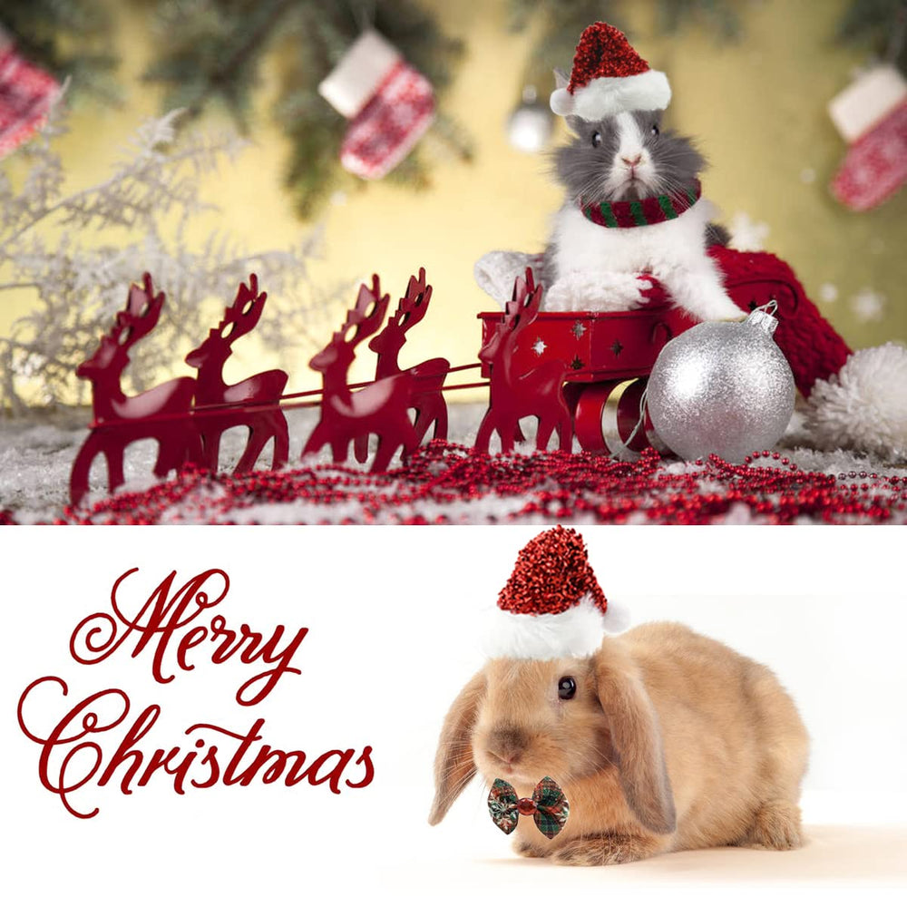 Vehomy bow-tie Christmas for small pets, cute accessory for festive dressing and portraits.
