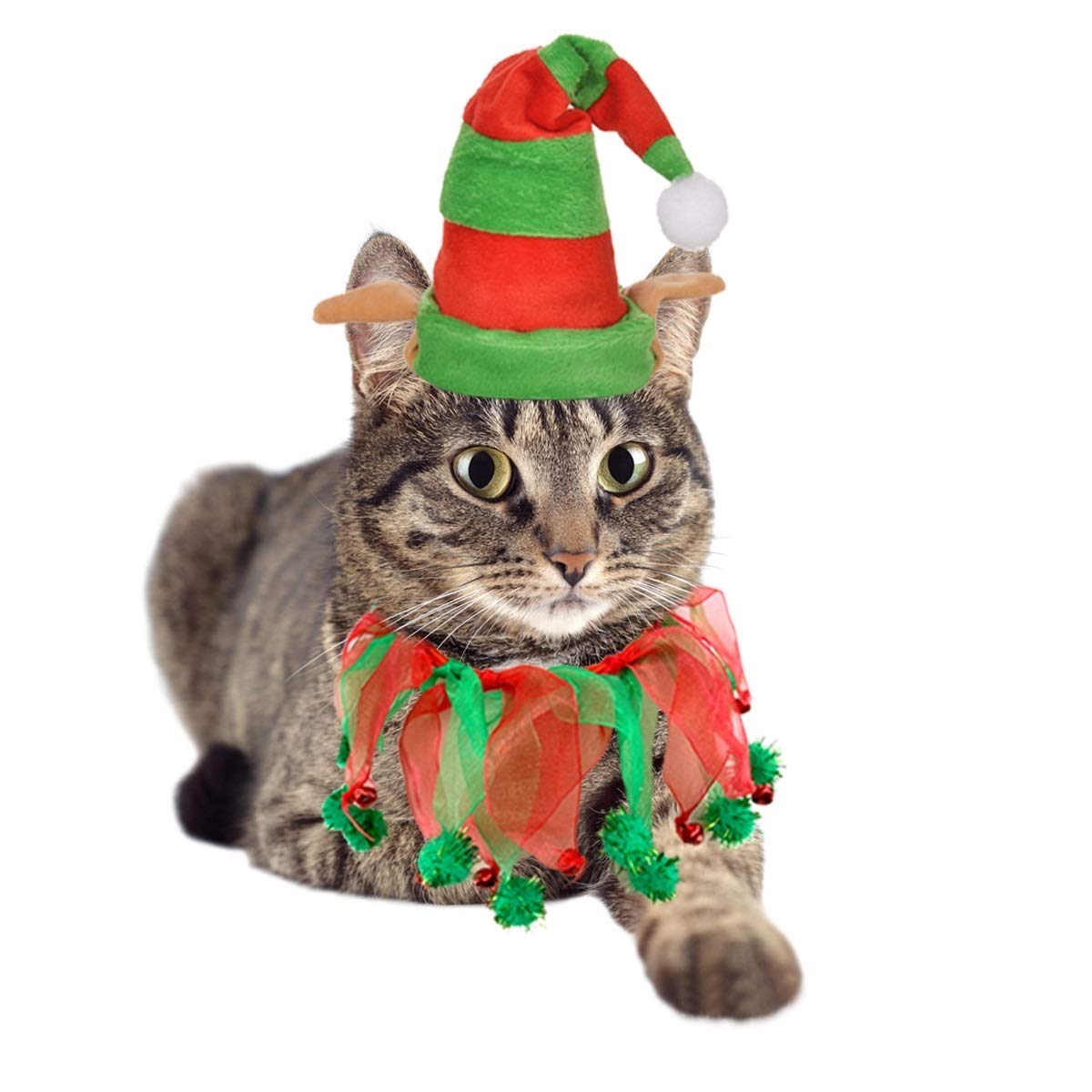 Vehomy cat Christmas elf hat for festive holiday photos.