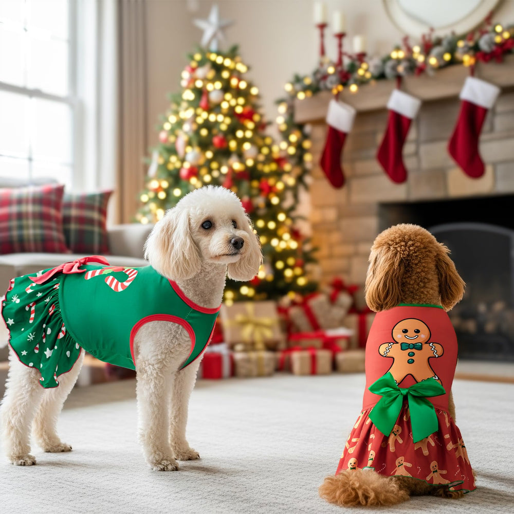 Vehomy Christmas Day dress in holiday photo setup suggests festive moments with pets.