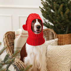 Vehomy dog-knitted hat red ear-cover closeup emphasizes warmth and wind protection.