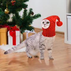 Vehomy dog-knitted hat red on-pet wearing captures comfortable, snug fit.