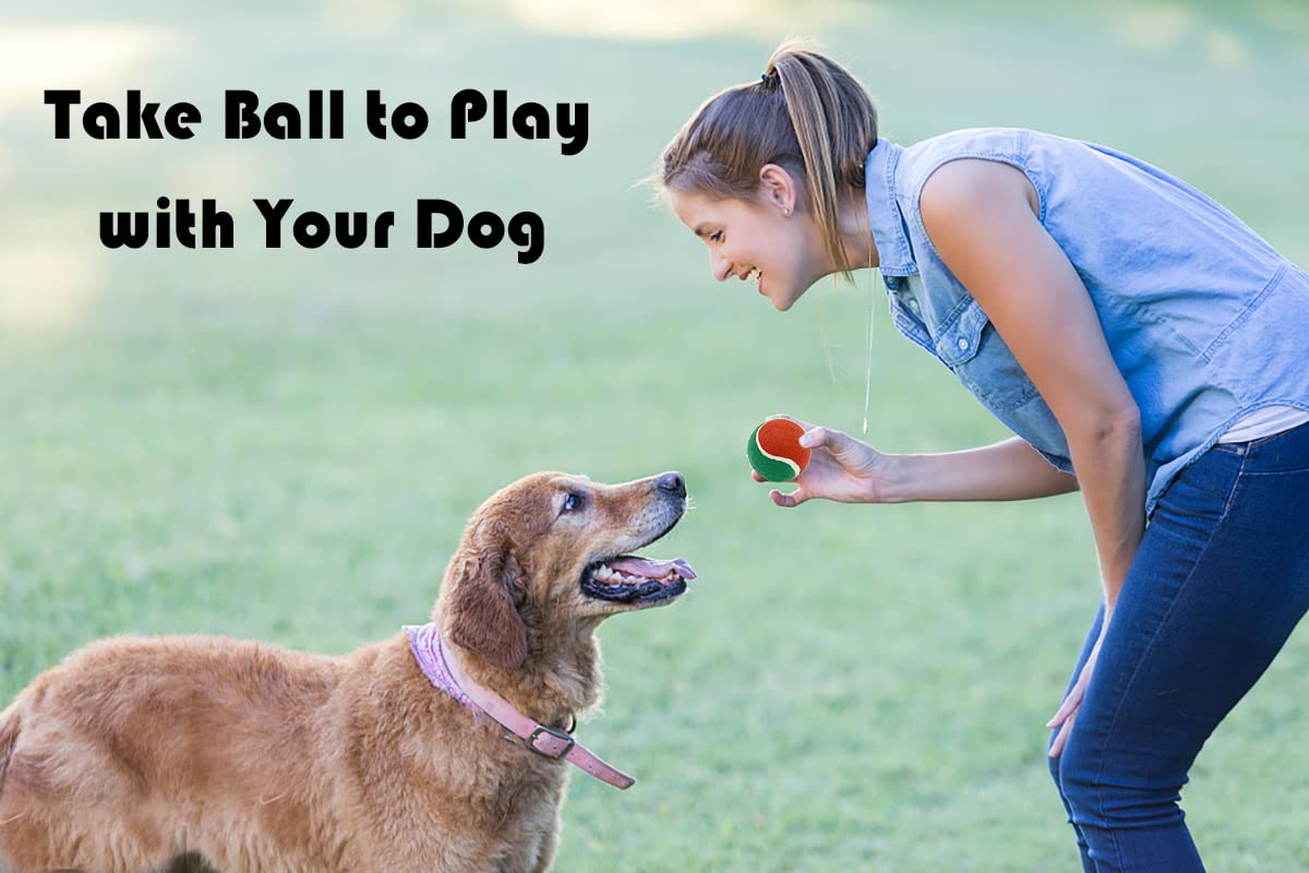 Vehomy scented dog tennis balls deliver a pleasant aroma to enhance playtime