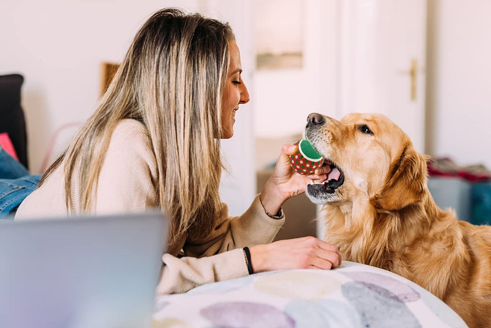 Vehomy ball set offers durable natural rubber and safe felt wrapping for chewing and tossing