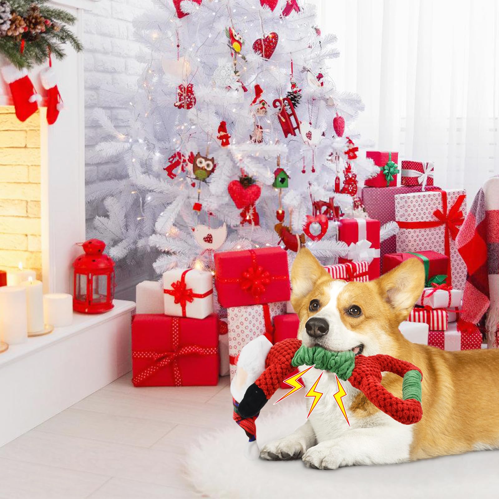 Vehomy dog tug-of-war action shows flexible handle and elastic band for cooperative play.