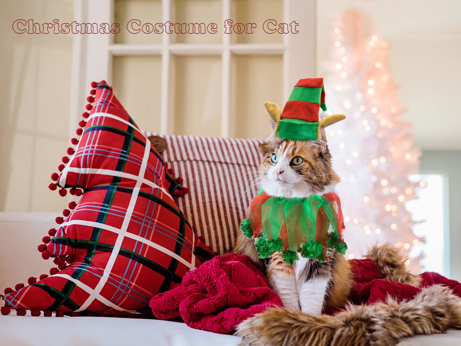 Vehomy holiday pet accessories highlighting cheerful styling.