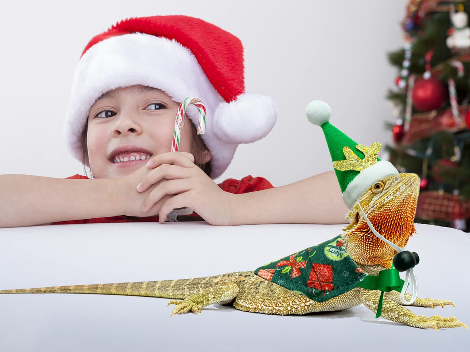 Vehomy holiday photo props capture cute pet moments