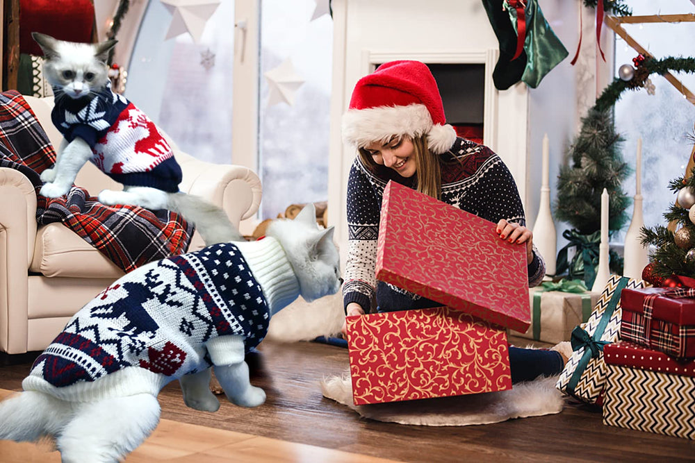 Machine-washable and lightweight Vehomy knitwear for daily pet wear.