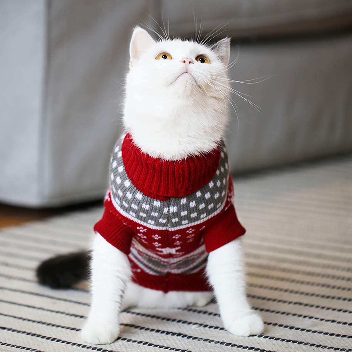 Vehomy puppy knitwear argyle sweater offers easy fit for daily lounging.