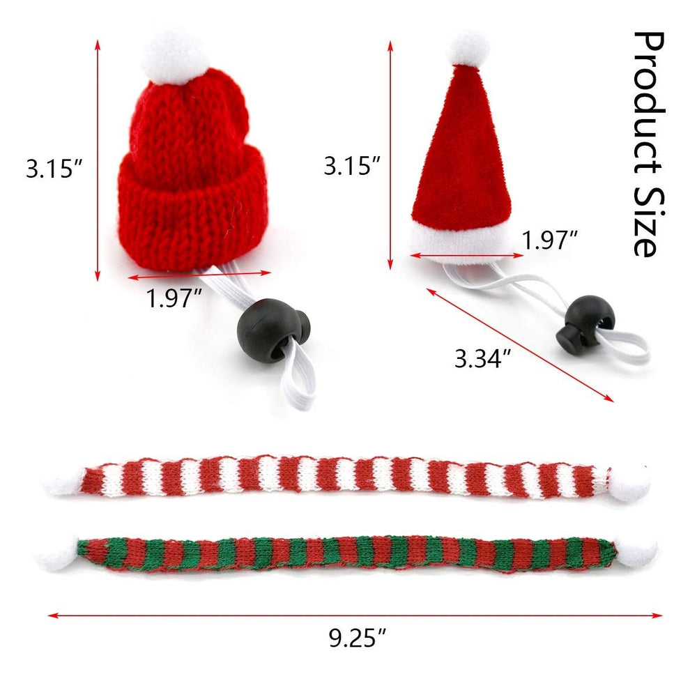 Vehomy green-red striped scarf on guinea pig for holiday flair.