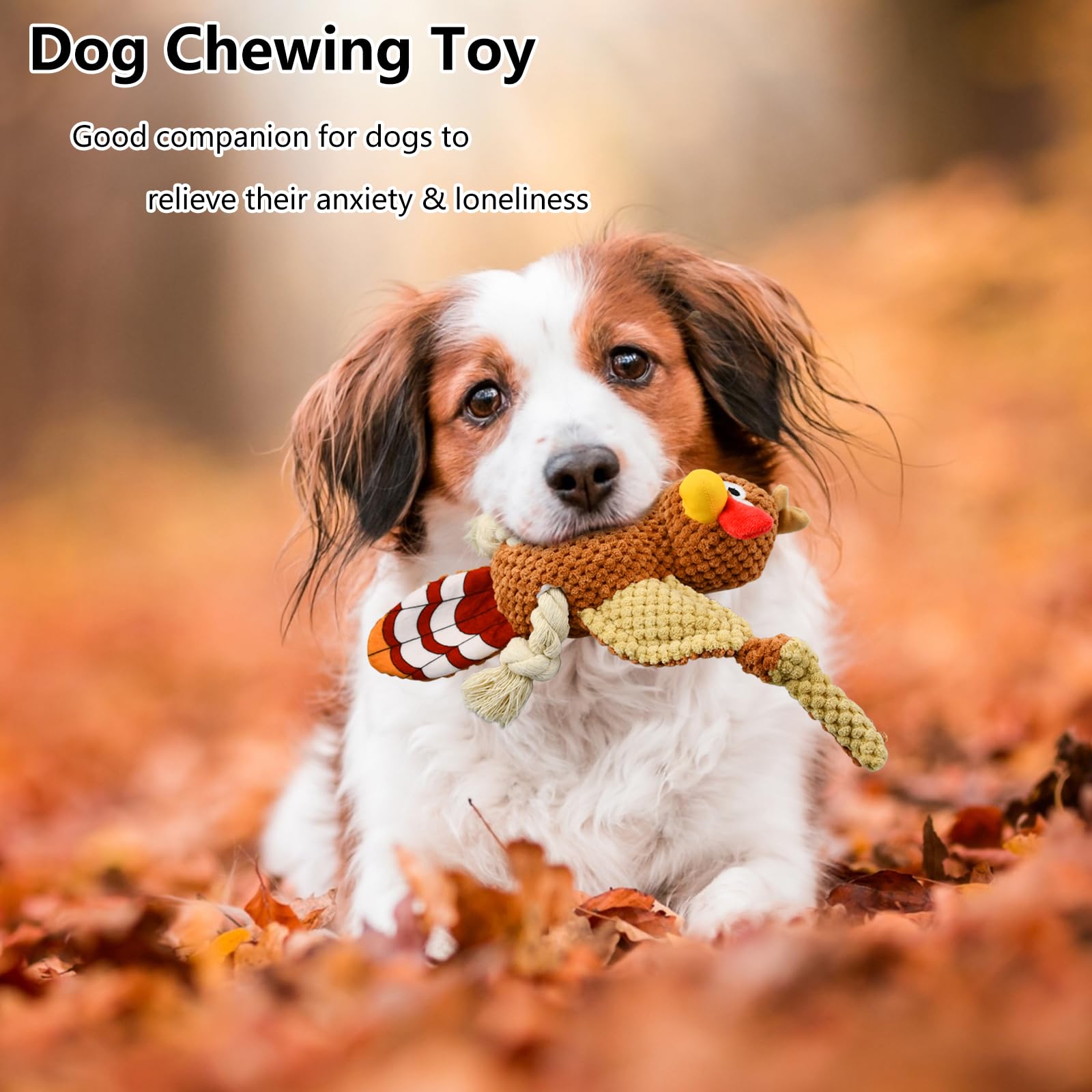 Vehomy turkey toy squeaker body stimulates dogs with sound during play.