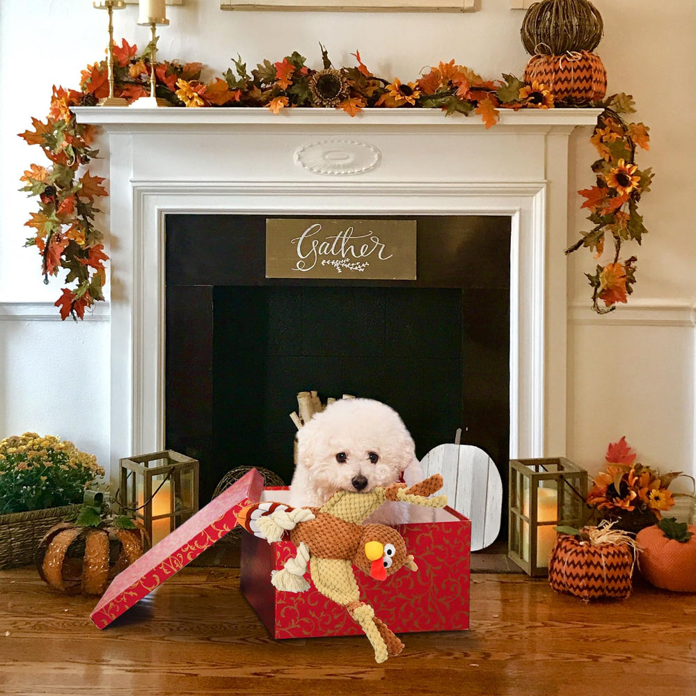 Vehomy turkey toy rough surface aids mild teeth cleaning while chewing.