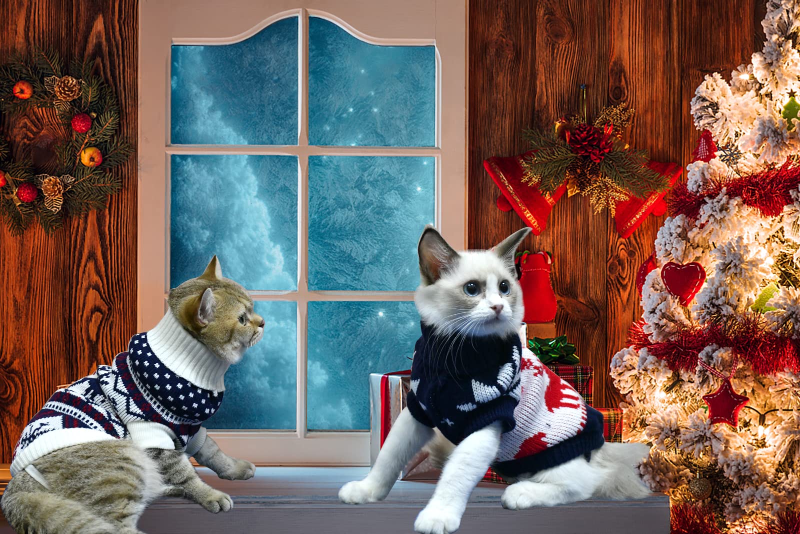 Vehomy winter pet outfit for dogs and cats suitable for photos.