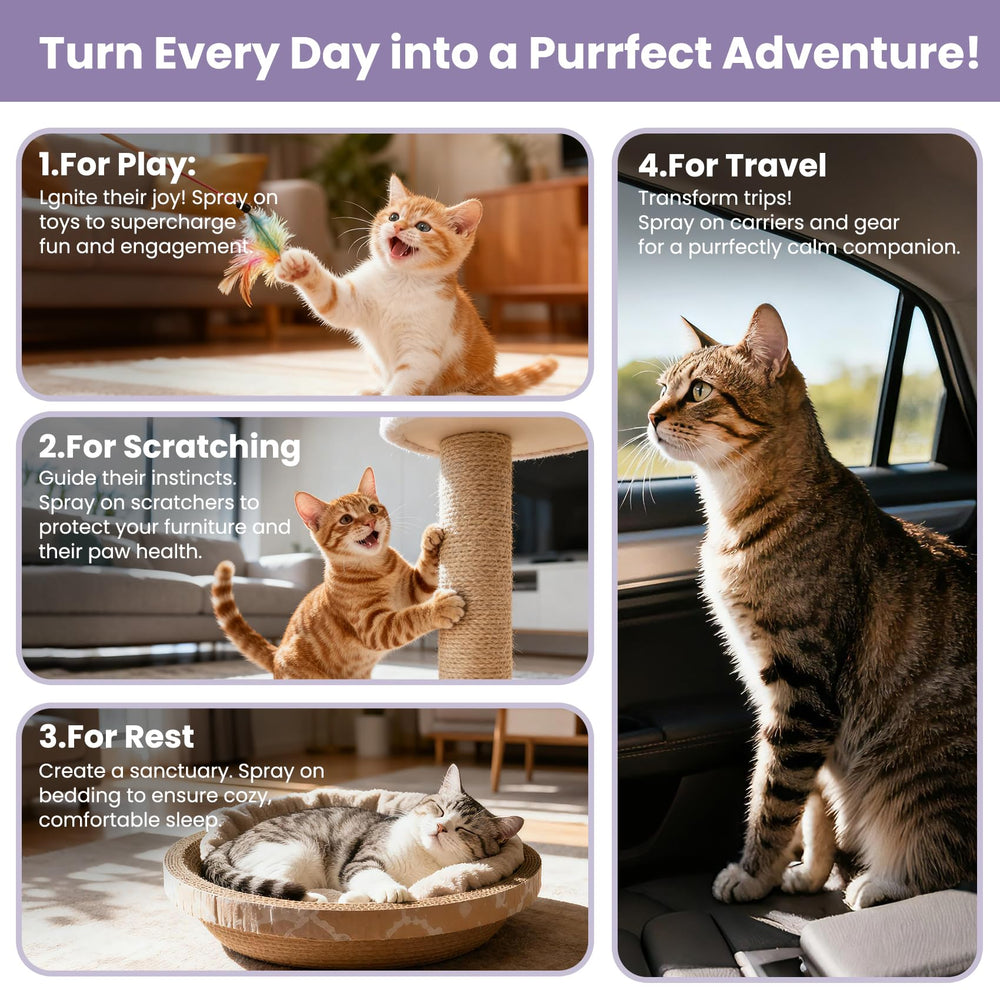 VEINATN Catnip Spray supports a lively play session with indoor cats.