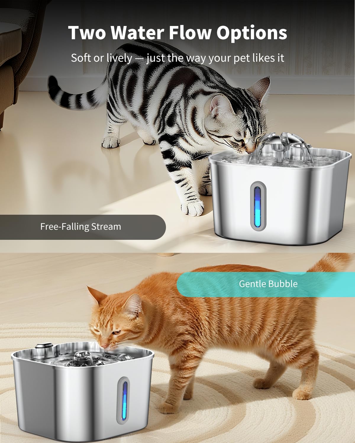 Vekonn fountain in multi-pet home setup demonstrates suitability for households
