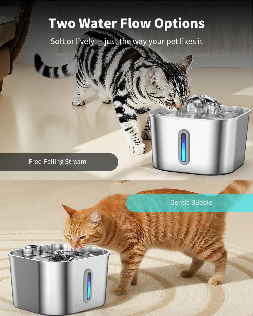 Vekonn fountain in multi-pet home setup demonstrates suitability for households