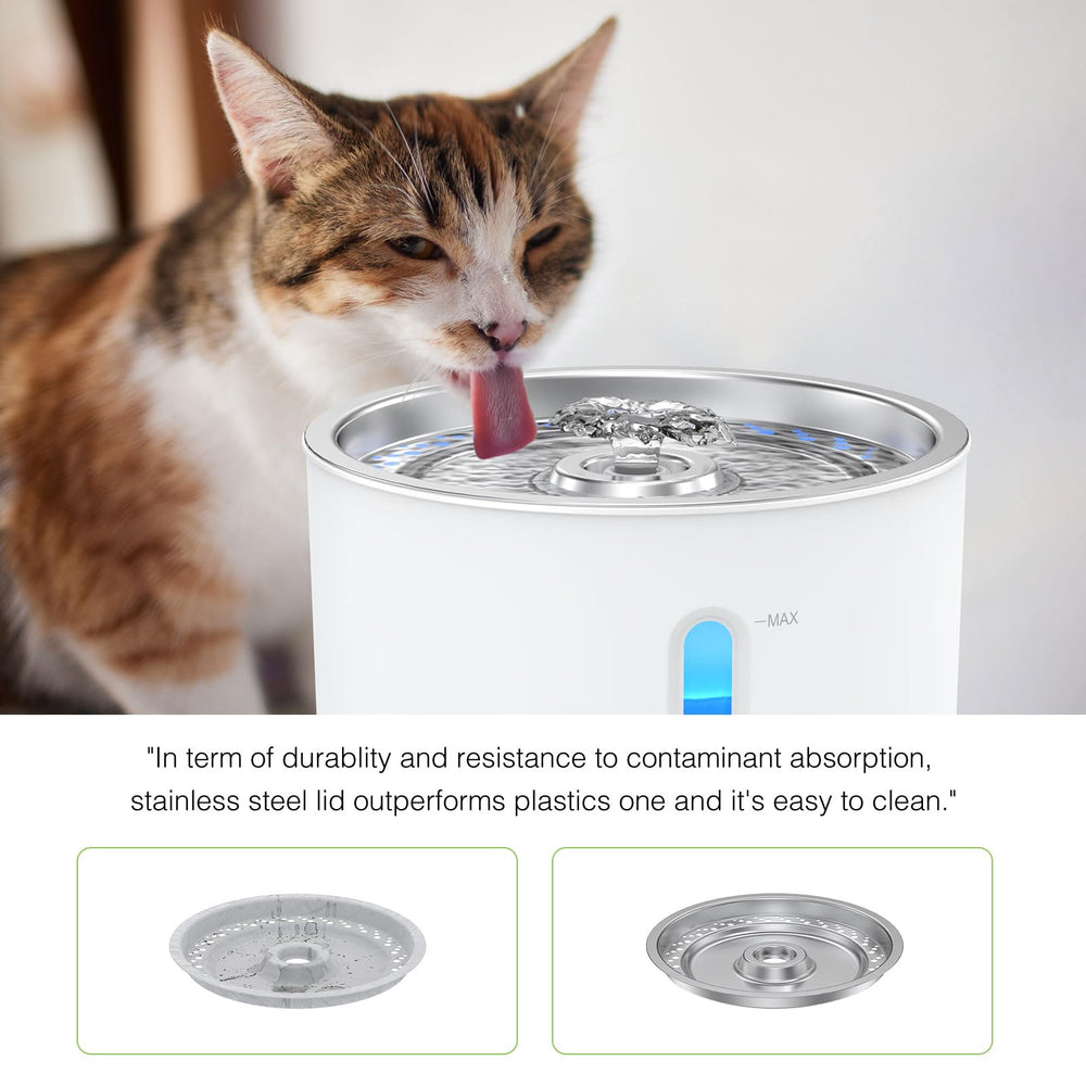 Vekonn LED light aids night-time visibility of the fountain