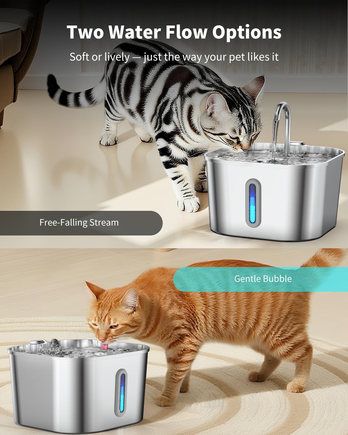 Vekonn setup with pets during playtime emphasizes accessible hydration.