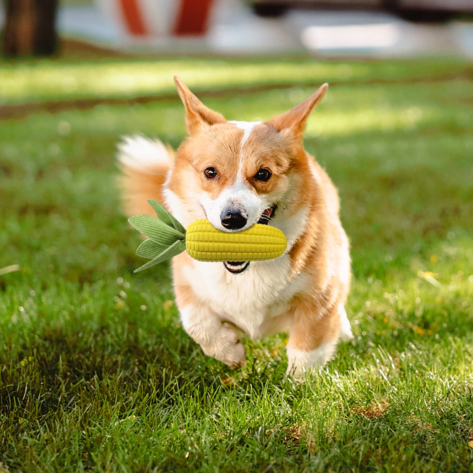 Vekung packaging-ready display highlights durability and squeak feature.