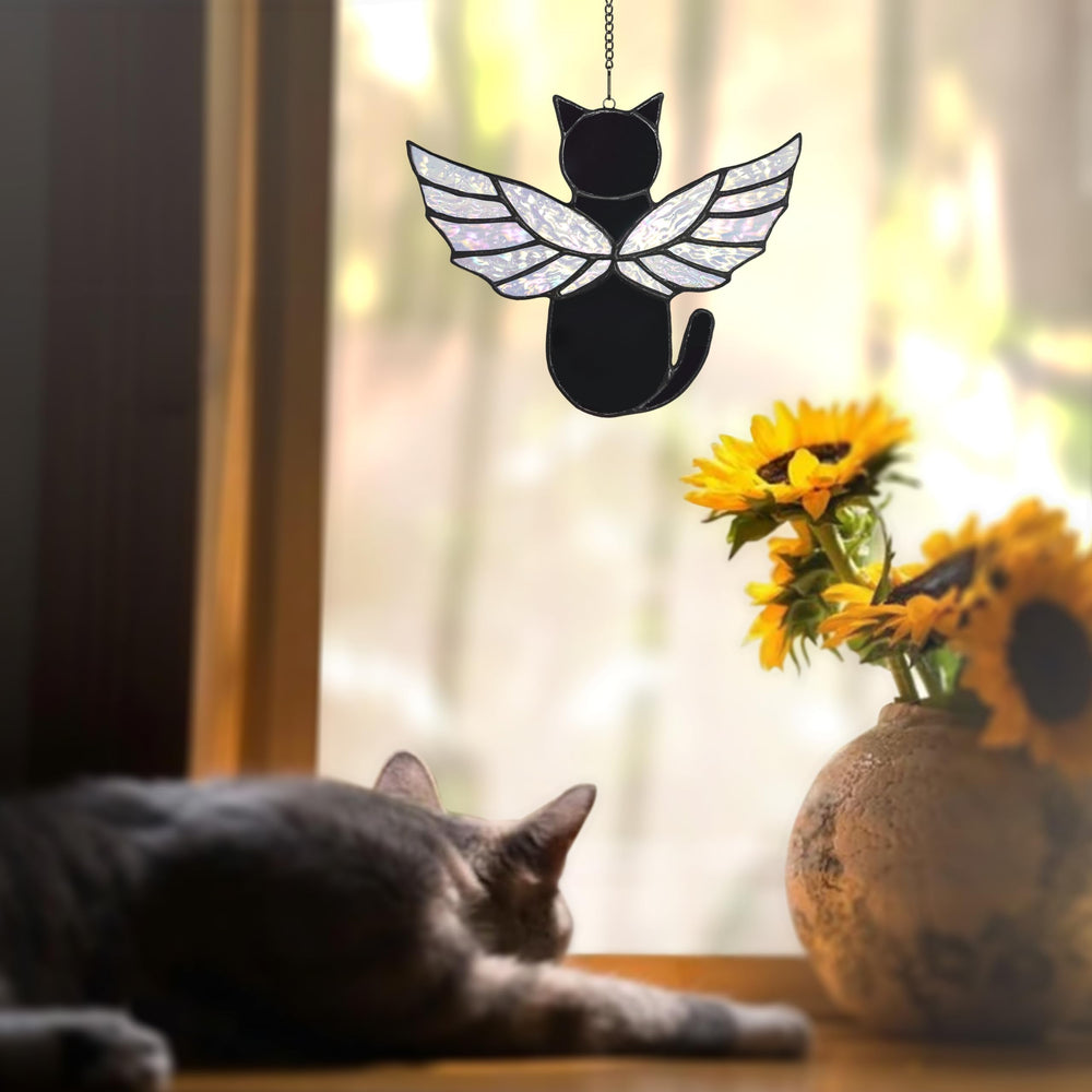 Velasyart window display captures sunlight dancing through colored wings.