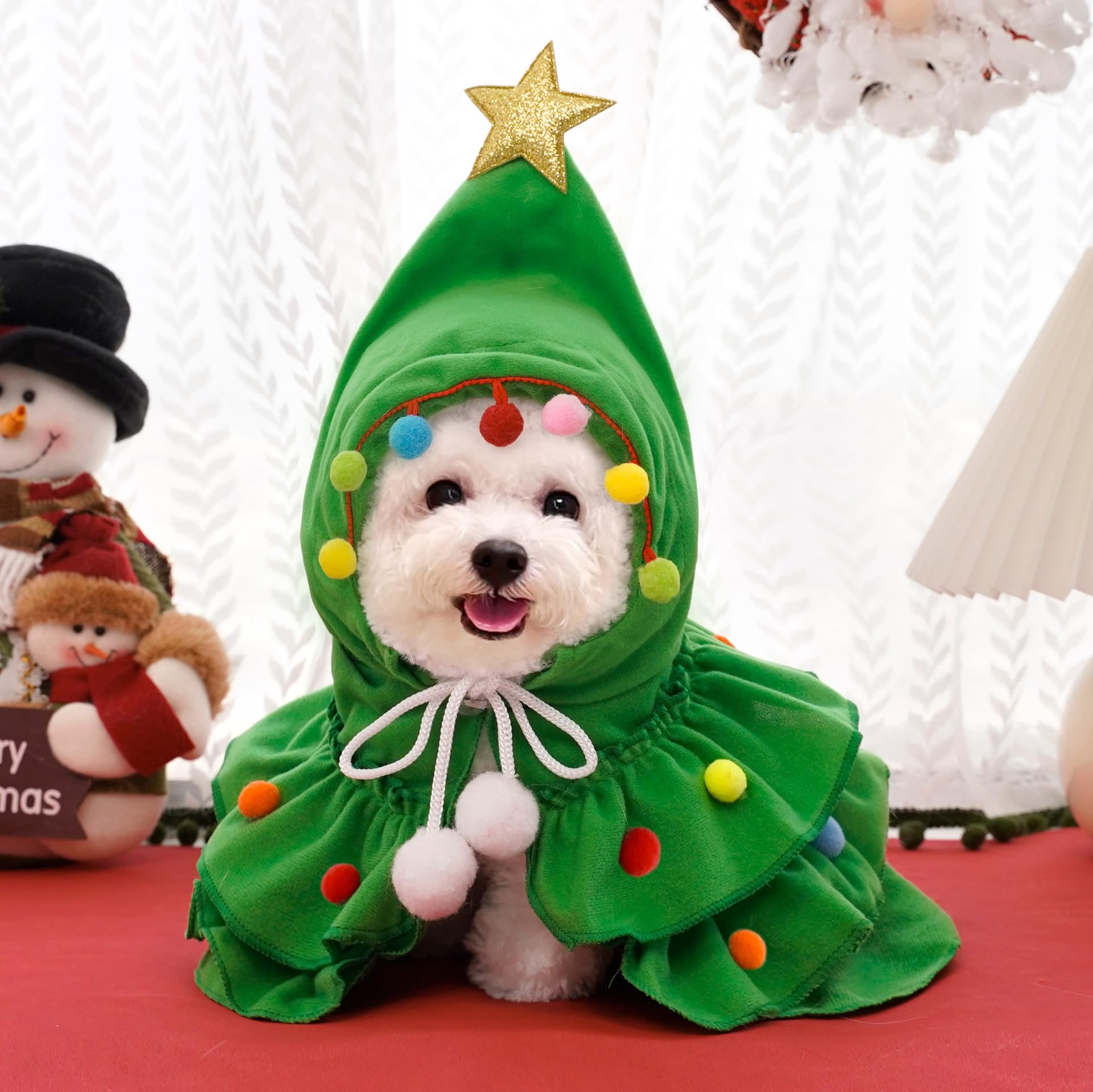 Vellibring perfect for photos parties and tree-themed events as a pet gift.