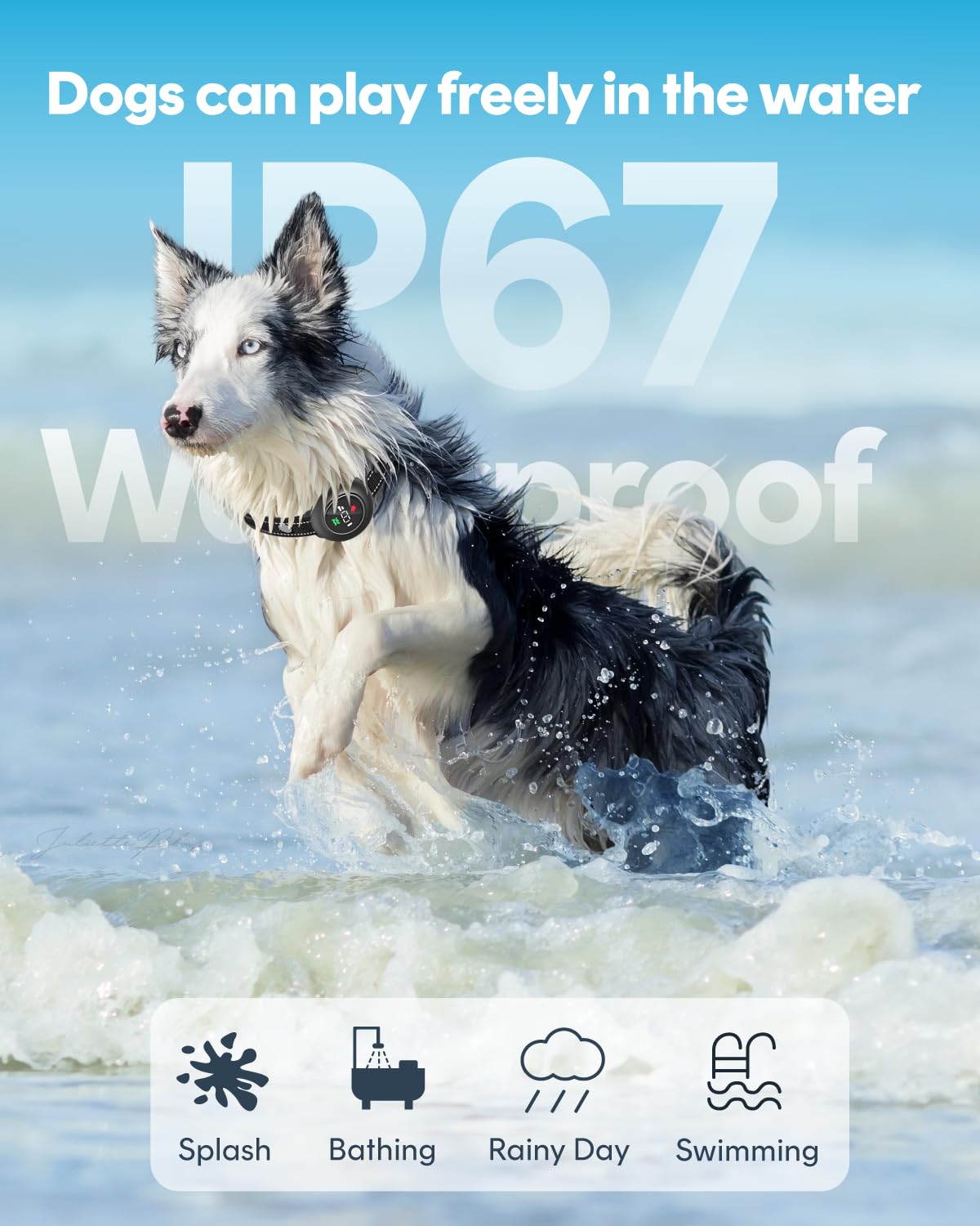 VeloZap IP67 waterproof collar in use for all-weather durability.