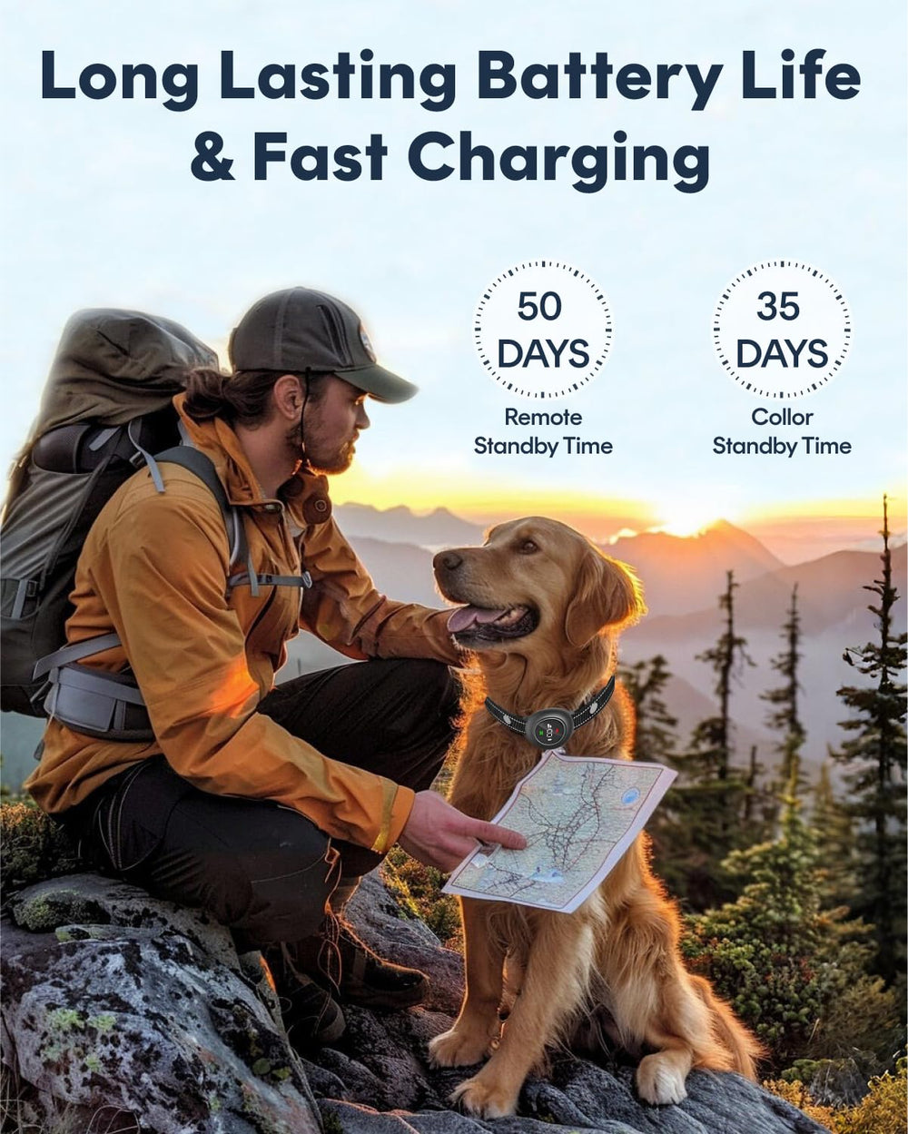 VeloZap pet training clicker included for clear commands.