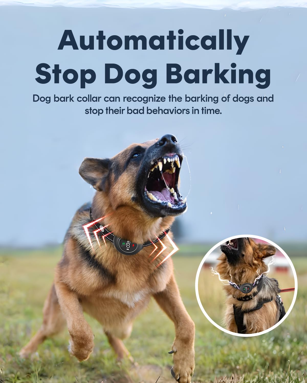 VeloZap smart barking recognition chip illustrates accurate, safe corrections.