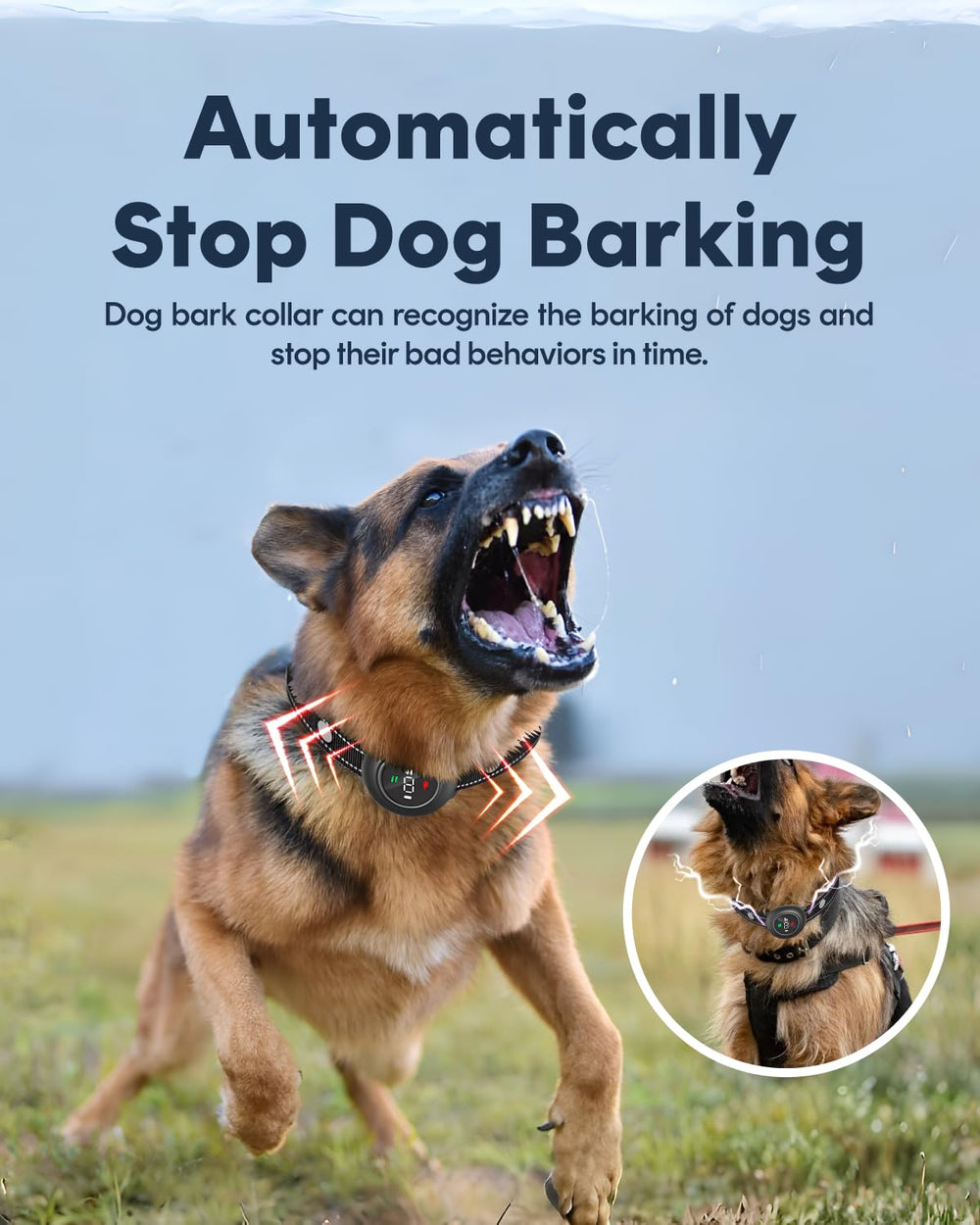 VeloZap smart barking recognition chip illustrates accurate, safe corrections.