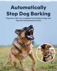 VeloZap smart barking recognition chip illustrates accurate, safe corrections.