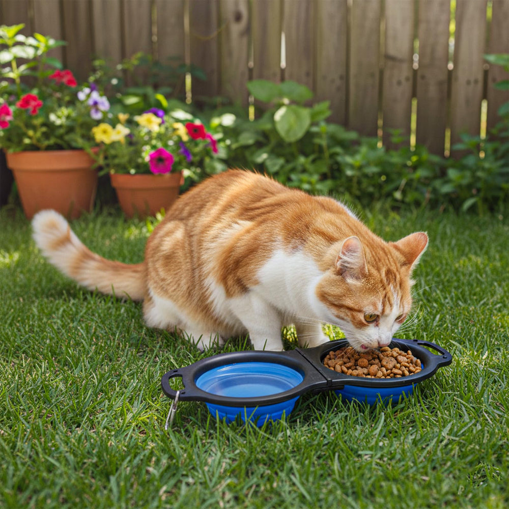 VeluXanipyr travel litter box ideal for car trips and hotels.