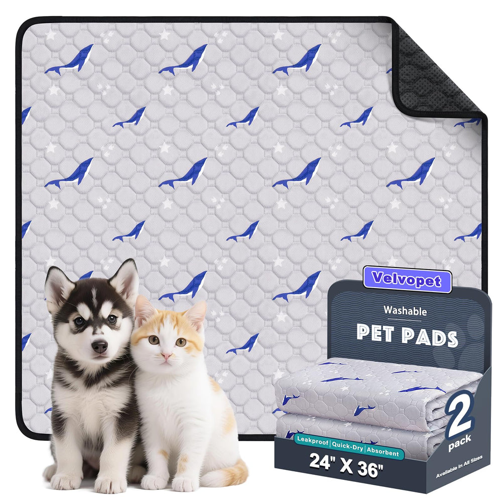 Velvopet absorbent-system pad keeps floors dry during training