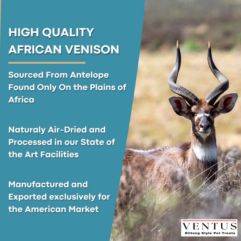 Ventus topper sprinkled on a bowl demonstrates easy serving for wellness-boosting meals.