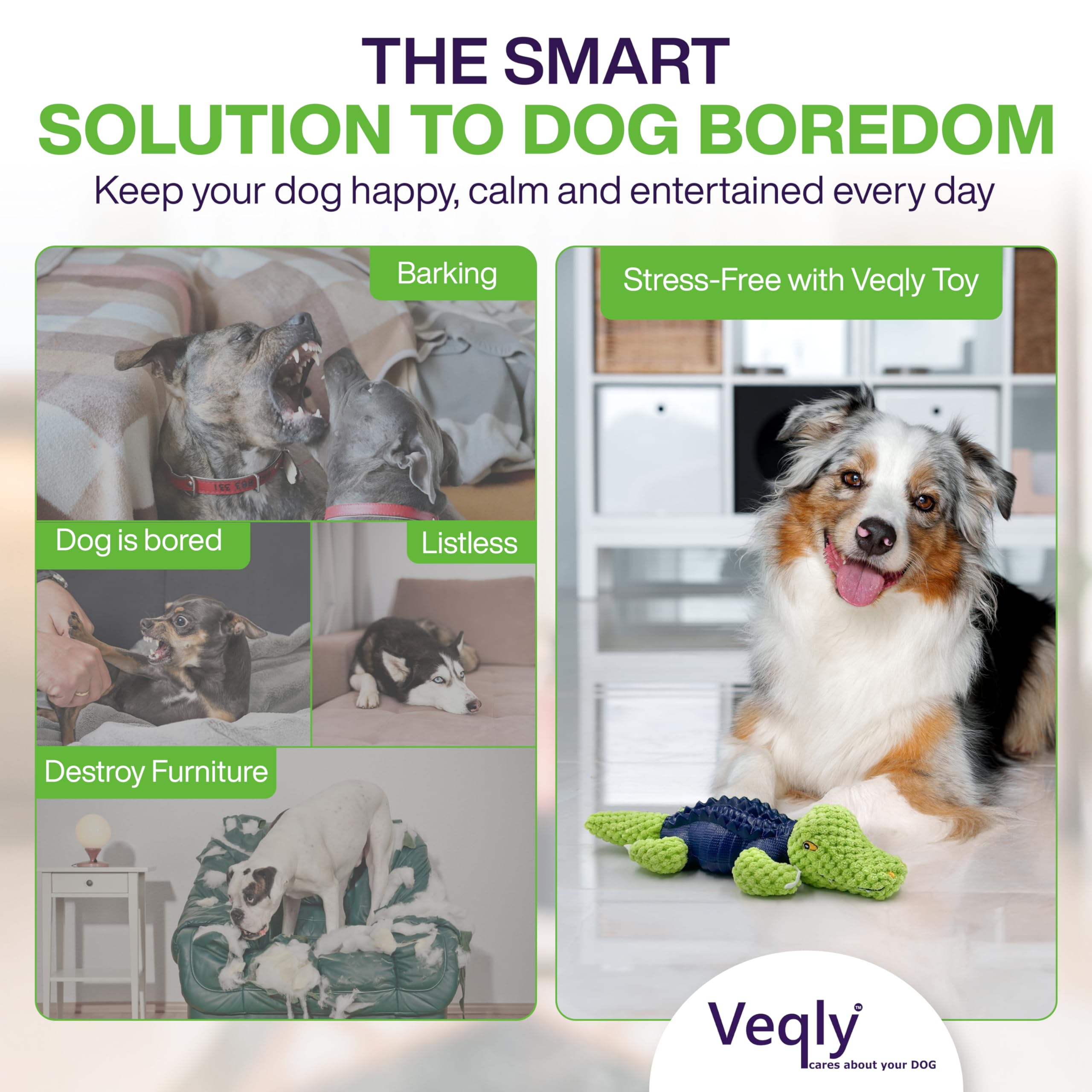 Veqly beef-flavored chew toy close-up showing durable interior.