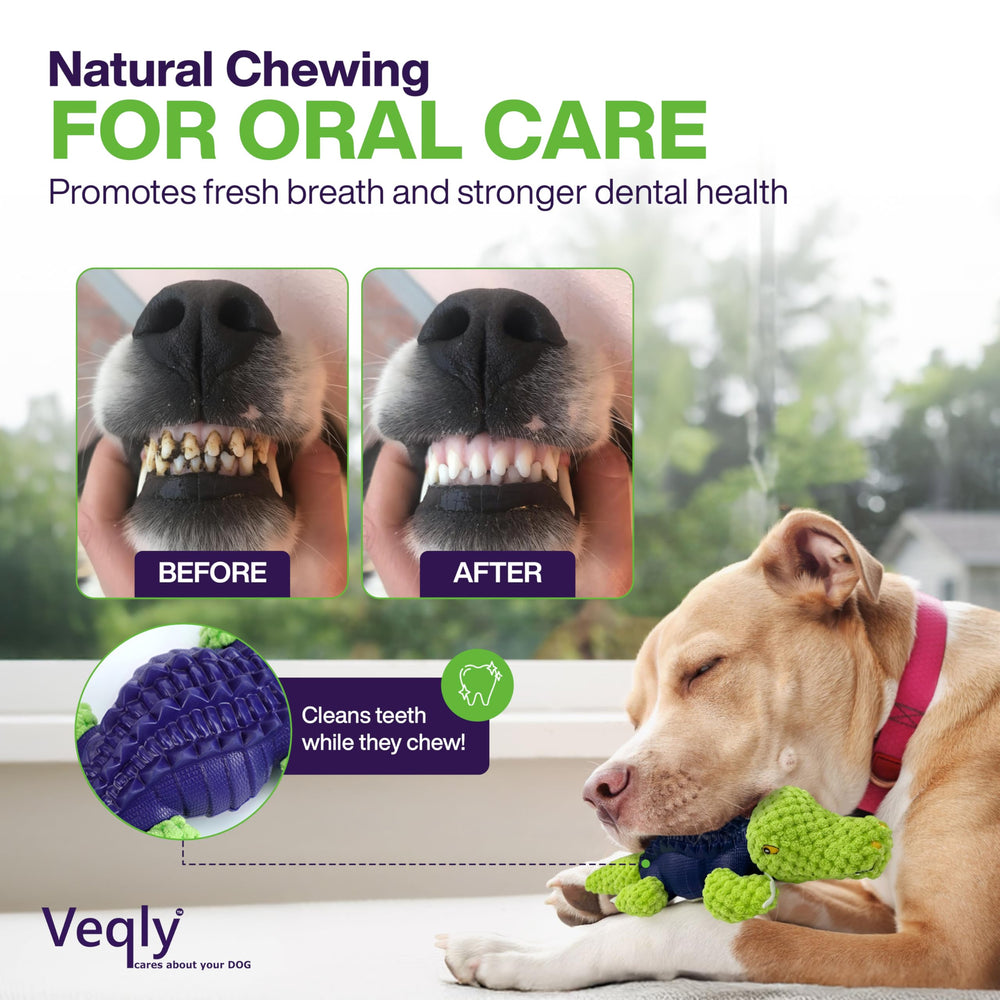 Veqly green dog birthday toy for festive play and celebration moments.