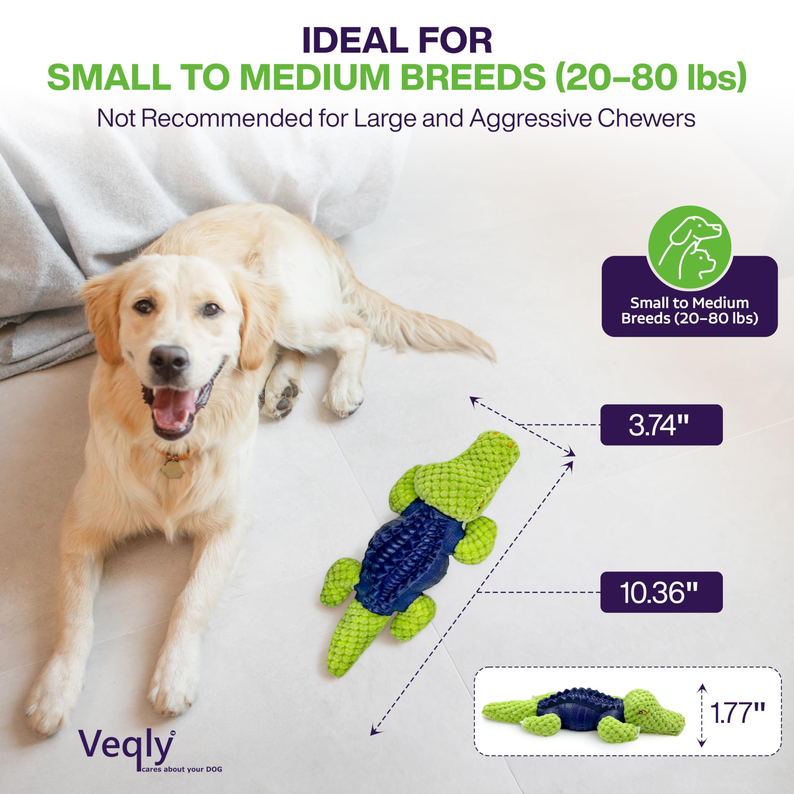 Veqly squeaky plush toy adds excitement during interactive play sessions.