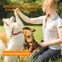 Verbeeck dog bark deterrent side view highlights portable size for outdoor walks