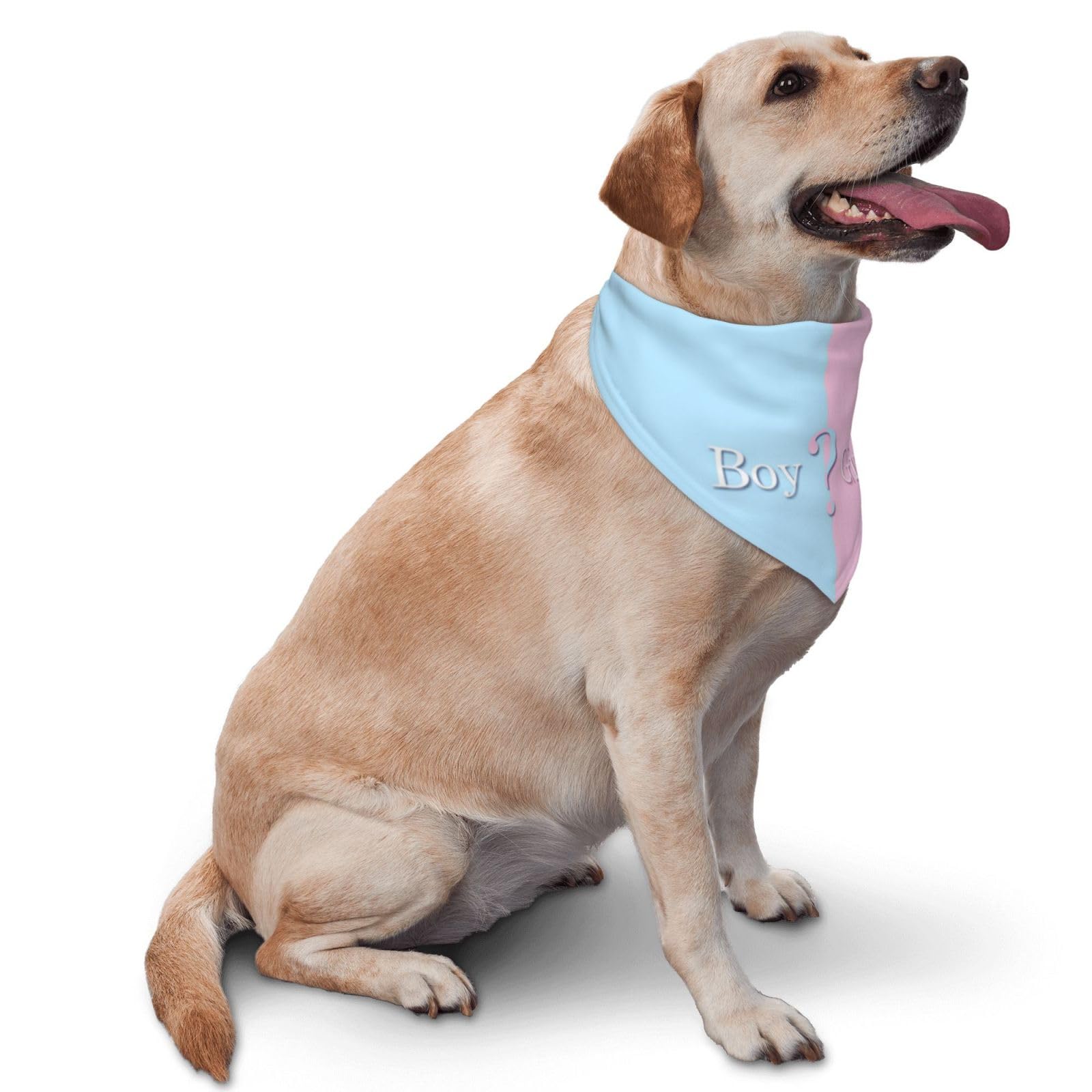 vercosee gender reveal dog bandana blue daily wear option.